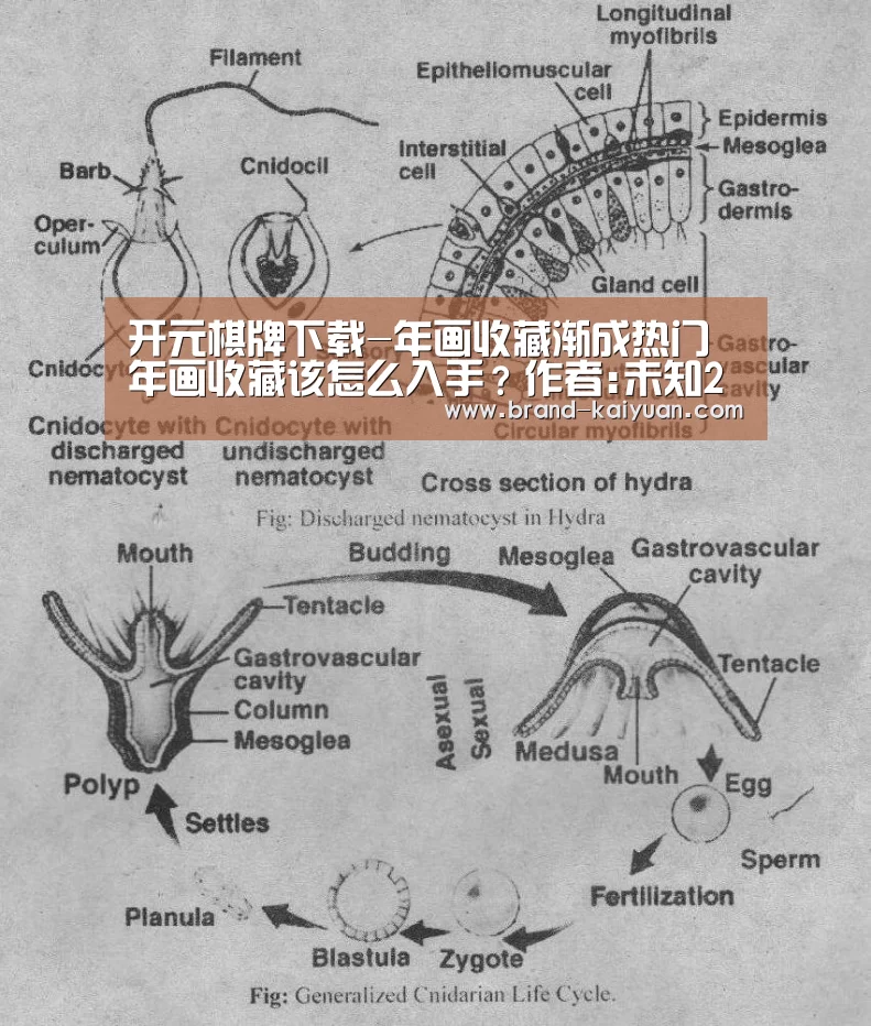 开元棋牌下载-年画收藏渐成热门年画收藏该怎么入手?作者:未知2017-01-1709:15:15来源:石家庄新闻网对于绝大多数国人来说(图1) 开元棋牌下载