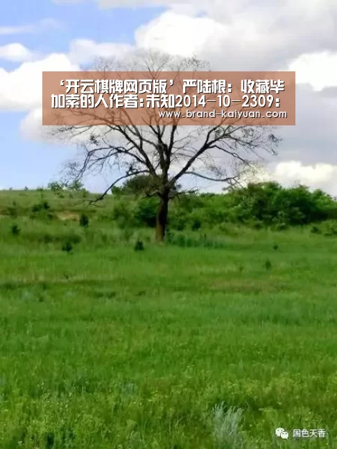 开元棋牌下载