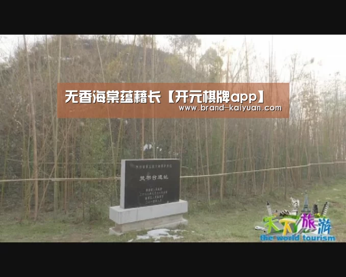 开云棋牌网页版