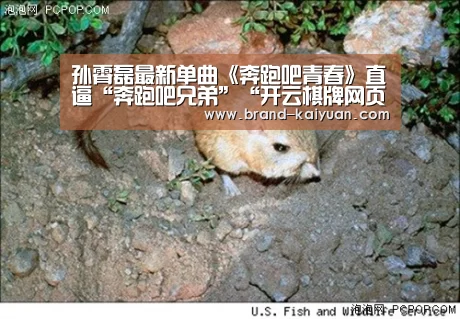 开元棋牌下载
