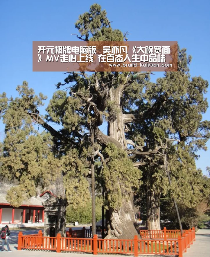 开元棋牌电脑版-吴亦凡《大碗宽面》MV走心上线 在百态人生中品味“人生一面”(图2) 开元棋牌电脑版