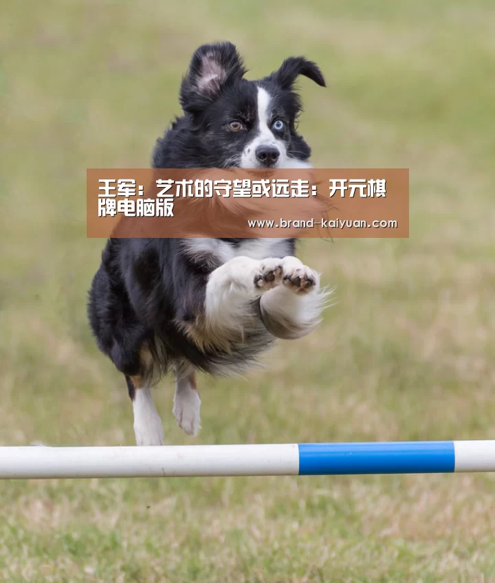 开云棋牌网页版